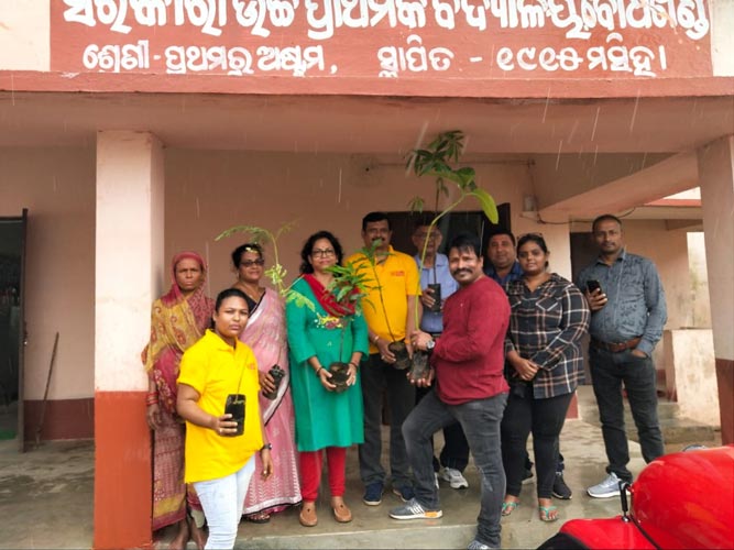Plantation Program